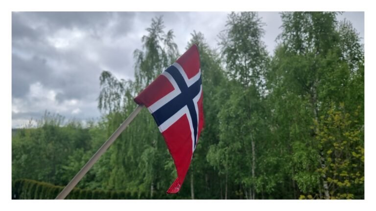 norsk flag 3